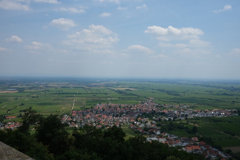 DSCF7556.JPG