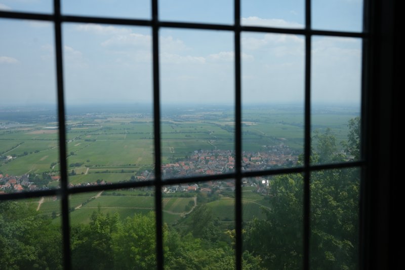 DSCF7541.JPG